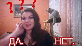 СТОИТ ЛИ ЗАВОДИТЬ КОШКУ БРИТАНСКОЙ ПОРОДЫ? ОСОБЕННОСТИ ХАРАКТЕРА БРИТАНЦЕВ