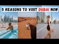 Why You Should VISIT DUBAI in 2023 - What To Do, Where To Stay, Cost?