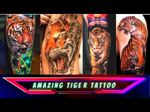 100,000 Tiger tattoo design Vector Images | Depositphotos