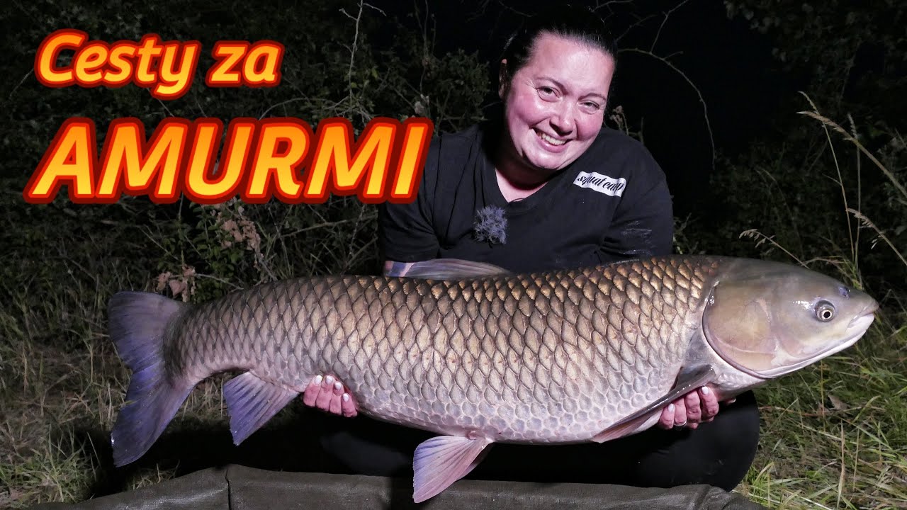 Lov amura č.3 🍀💚🙋‍♀️ To boli prekvapenia 😵 Nástrahy pop up - partikel, tigrý orech ...