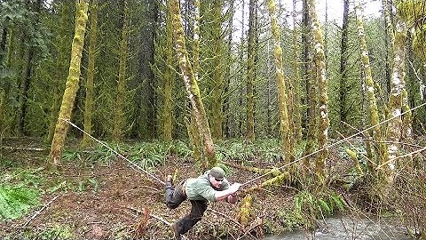The One Rope Bridge (Commando Bridge)