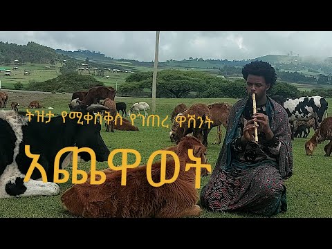 ቪዲዮ: ከጎራ ጋር አውታረመረብ እንዴት እንደሚሠራ