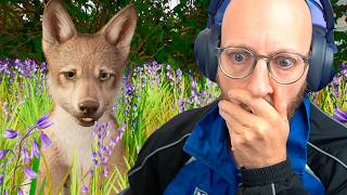 Får ulveunger!