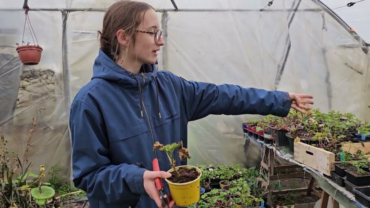 Stage de Chloé élève de terminale STAV à l'entreprise HORT'IS VIRIDIOS