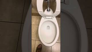 Fairchild Cinemas -Pasco 12 Men’s Restroom