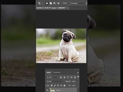 #Shorts – Cách chọn và cắt ảnh ra khỏi nền bằng Photoshop – trong 1 phút