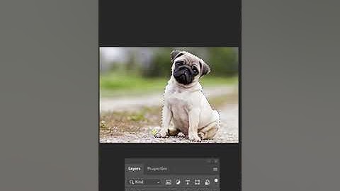 #Shorts - Cách chọn và cắt ảnh ra khỏi nền bằng Photoshop - trong 1 phút