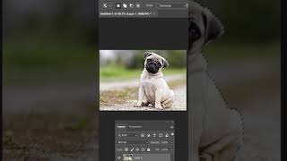 #Shorts - Cách chọn và cắt ảnh ra khỏi nền bằng Photoshop - trong 1 phút