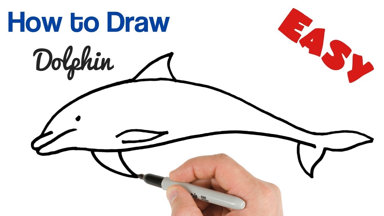 How To Draw A Dolphin Easy How To Draw Animals Youtube