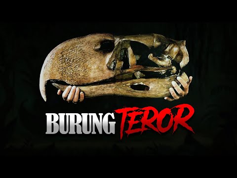 Video: Bisakah burung teror terbang?