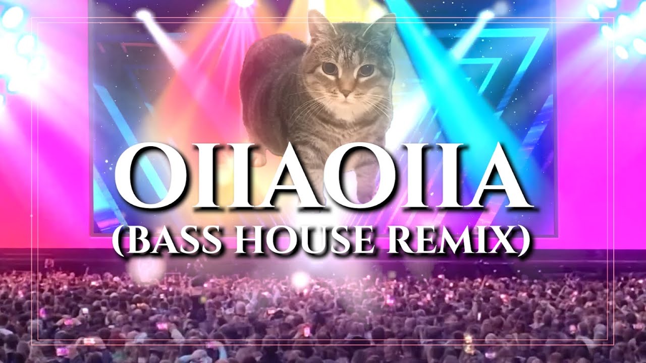 Leslie Wai - OIIAOIIA (Bass House Remix)