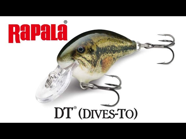 RAPALA DT SERIES CRANK BAITS  LURE REVIEW! 