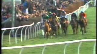 Horse Racing 1991 King George VI Chase Desert Orchid final race