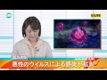 Project Trailer
