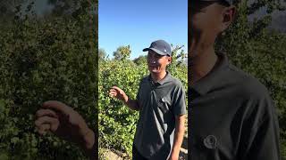 видео: КАРАГАТ КАПИТАН СОРТУ БОЮНЧА МААЛЫМАТ 0702824363 АБАЙ МЫРЗА ТОҢ РАЙОНУ  картинка: КАРАГАТ КАПИТАН СОРТУ БОЮНЧА МААЛЫМАТ 0702824363 АБАЙ МЫРЗА ТОҢ РАЙОНУ