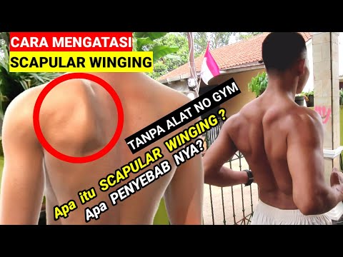 Video: Apakah pijatan membantu skapula bersayap?