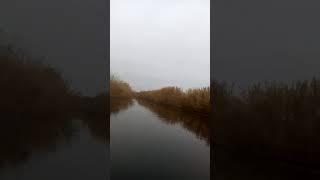 Река Берда село Нововасильевка 09.11.2017