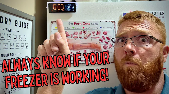 MOCREO WiFi Freezer Thermometer Alarm w Digital Monitor Hub Review | Catch a failure when it happens