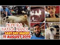 Mumbra bakra mandi  last day  11 august 2019  mrvlogger