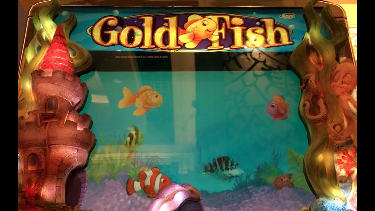 hand pays bas france GOLD FISH F*ck Up ›««««º› ✦LIVE PLAY✦ Slot Machine