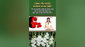 Góc Nhìn Sự Thật - Đồng Bào Công Giáo Đồng Hành Cùng Dân Tộc - Nguồn - ANTV #trustpn