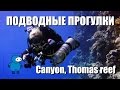 Thomas reef canyon. Технический дайвинг в Шарм эль Шейхе.