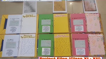 Economics / Must Watch Video /Session 2023-24 / Six Different styles of Presentations / Delhi (NCR)