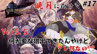 【FF14】何か変な塔みたいなの出てきたよね、、アレ何？？ #17 パッチ5.5「ネタバレ注意」「ネタバレ禁止」