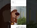 الكلبة نبيلة 