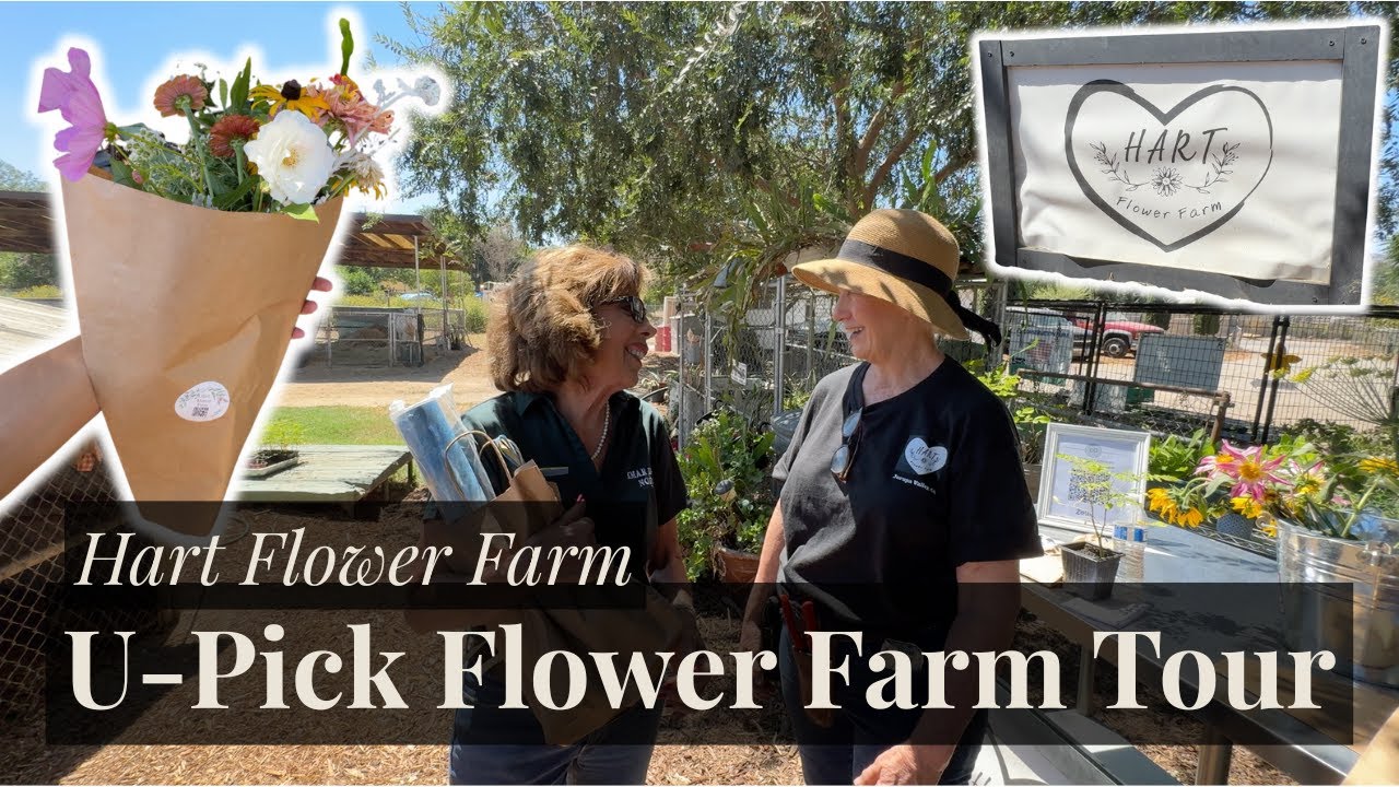 Behind the Scenes at a U-Pick Flower Farm | Kmar Farms Visits Hart Flower Farm