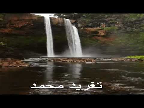 عبد الكريم الكابلى فتاة اليوم والغد اي صوت زار بالامس خيالي كلمات عبدالكريم الكابلي
