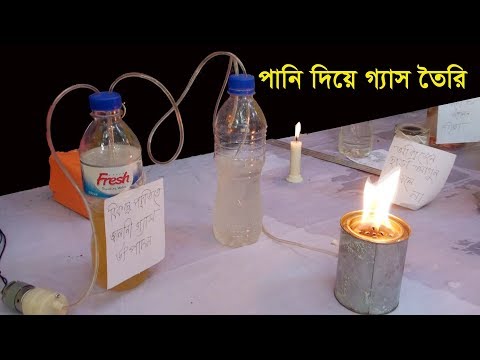 ভিডিও: কিভাবে শসা বাড়াবেন (ছবি সহ)