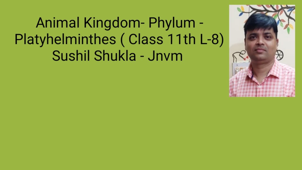 animal-kingdom-class-11-l-8-phylum-platyhelminthes-youtube