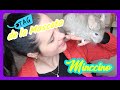 TAG de la Mascota - Minccino (CHINCHILLA)