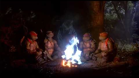 Teenage Mutant Ninja Turtles (1990)- Splinter