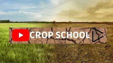 What is meteorological drought? #Agriculture #Short #Irrigation #Crops