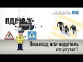 Пешеход и водитель - кто кому уступит? ПДД РФ, РК и КР.