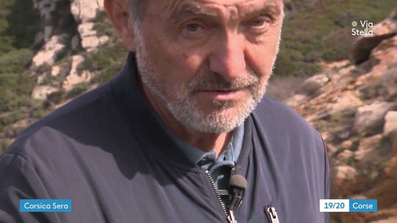 Municipales : la coordination anti-mafia demande aux candidats de s'engager dans la lutte anti mafia