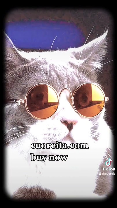 10 Pcs Lovely Heart Shape Pet Cat Glasses Eye-Wear