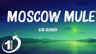 [ Loop 1Hour ]  Bad Bunny - Moscow Mule (Letra / Lyrics)