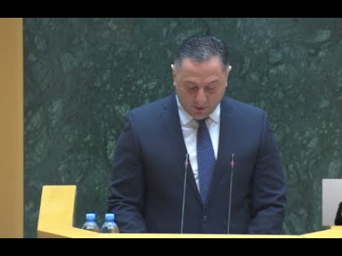 შს მინისტრის ვახტანგ გომელაურის ანგარიში პარლამენტს მინისტრის საათის ფორმატში