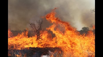 Fire Responses to Climate Variability and Implications for Fire Management
