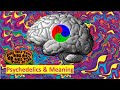 Psychedelics and Meaning - Real Case Study