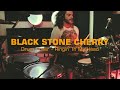 BLACK STONE CHERRY  - RINGIN&#39; IN MY HEAD