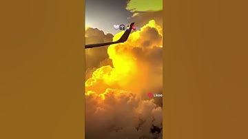 ما شاء الله صوت يجنن /(مين القارئ)