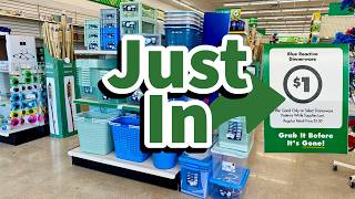 Famous Dollar Tree 2026 | NEW Finds This Week😮😮😮 Profile