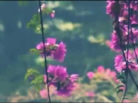 Pernah Lagu Lawas Rita Sugiarto - Tak Pernah Cipt. Rhoma Irama pernah hits