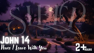 Bible Scripture To Sleep To | John 14:27 Peace I Leave With You