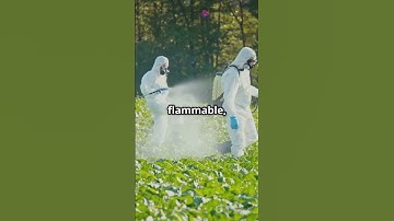 The Exploding Pants Saga: A Fiery Farming Fiasco! #ExplodingPants #FarmingFails #NewZealandHistory