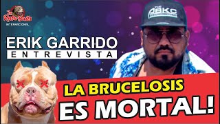 ✅✅LA BRUCELOSIS ES MORTAL ❓❓ AMERICAN BULLY by La Ruta Bulls 1,774 views 9 months ago 18 minutes